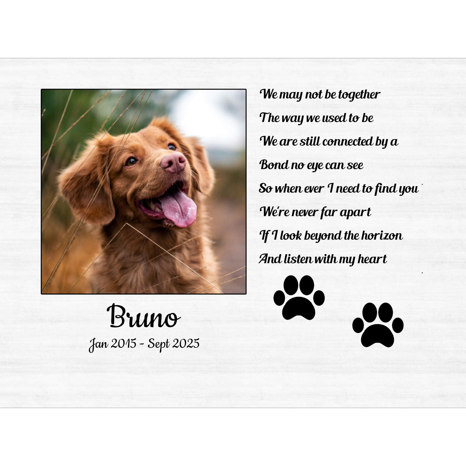 Memorial plaque with a photo of a brown dog named Bruno, a poem, and paw prints on a white background.