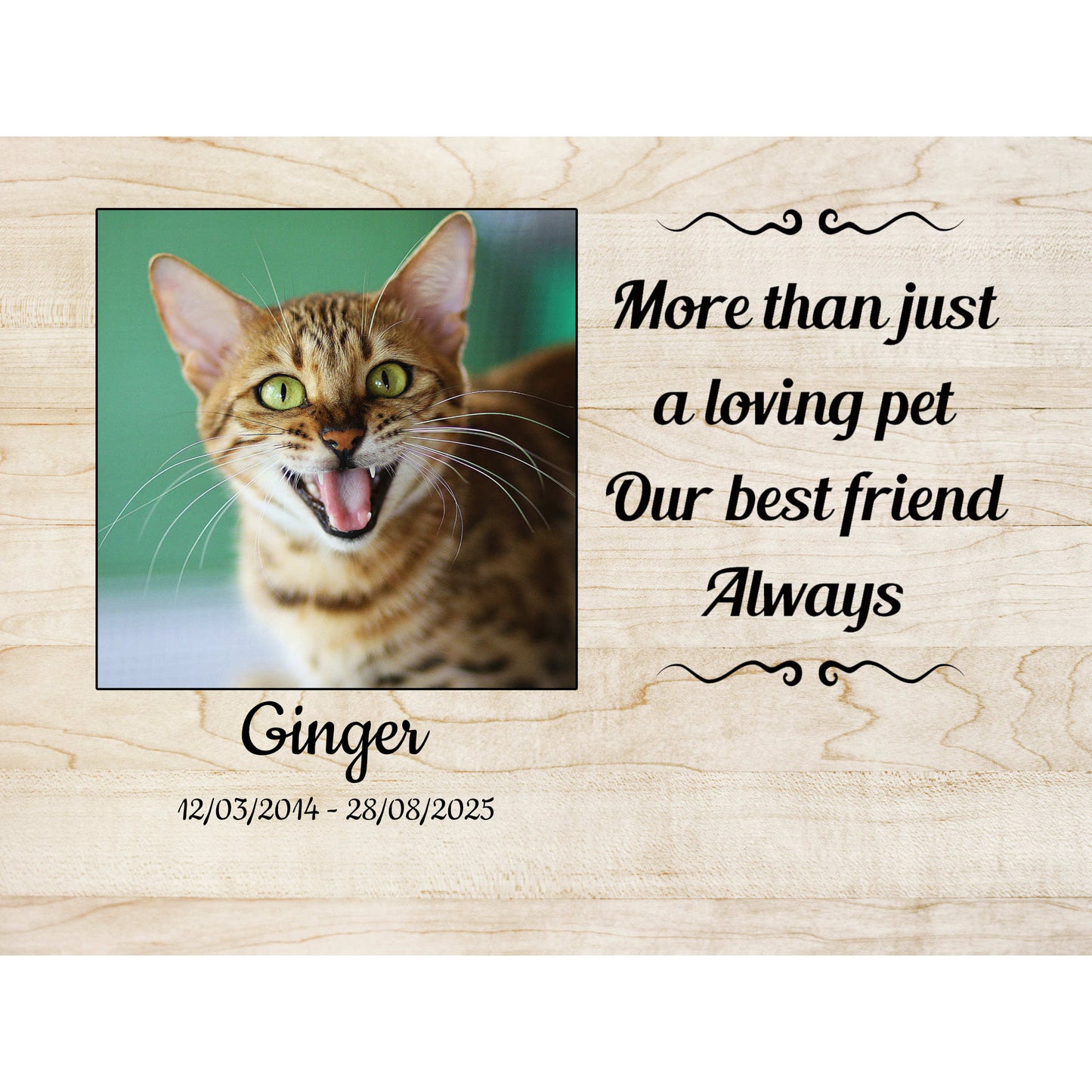 Pet memorial photo block plaque for a cat named Ginger with a photo of the cat and text on a wooden background.