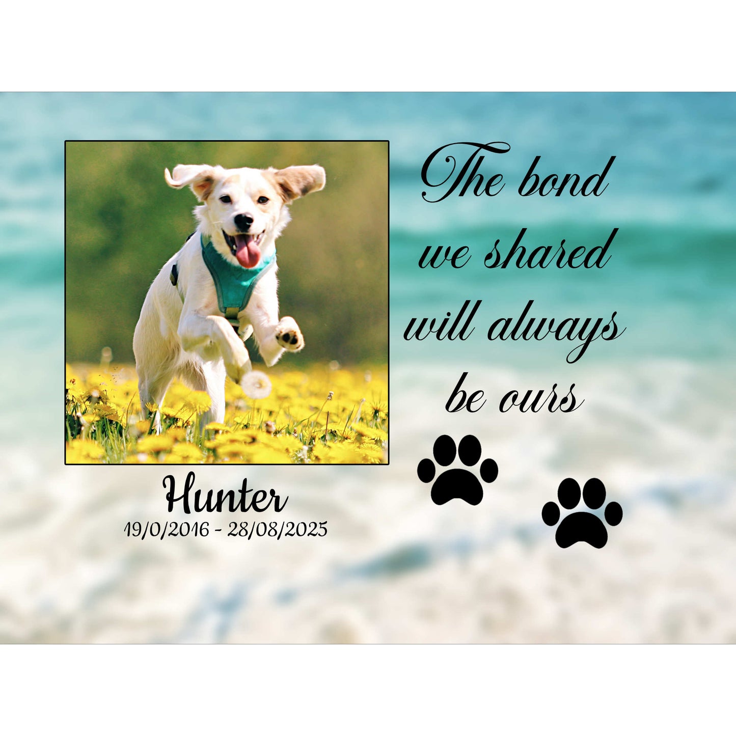 Pet memorial photo of a dog running in grass with text 'The bond we shared will always be ours' and 'Hunter' on a blurred beach background.