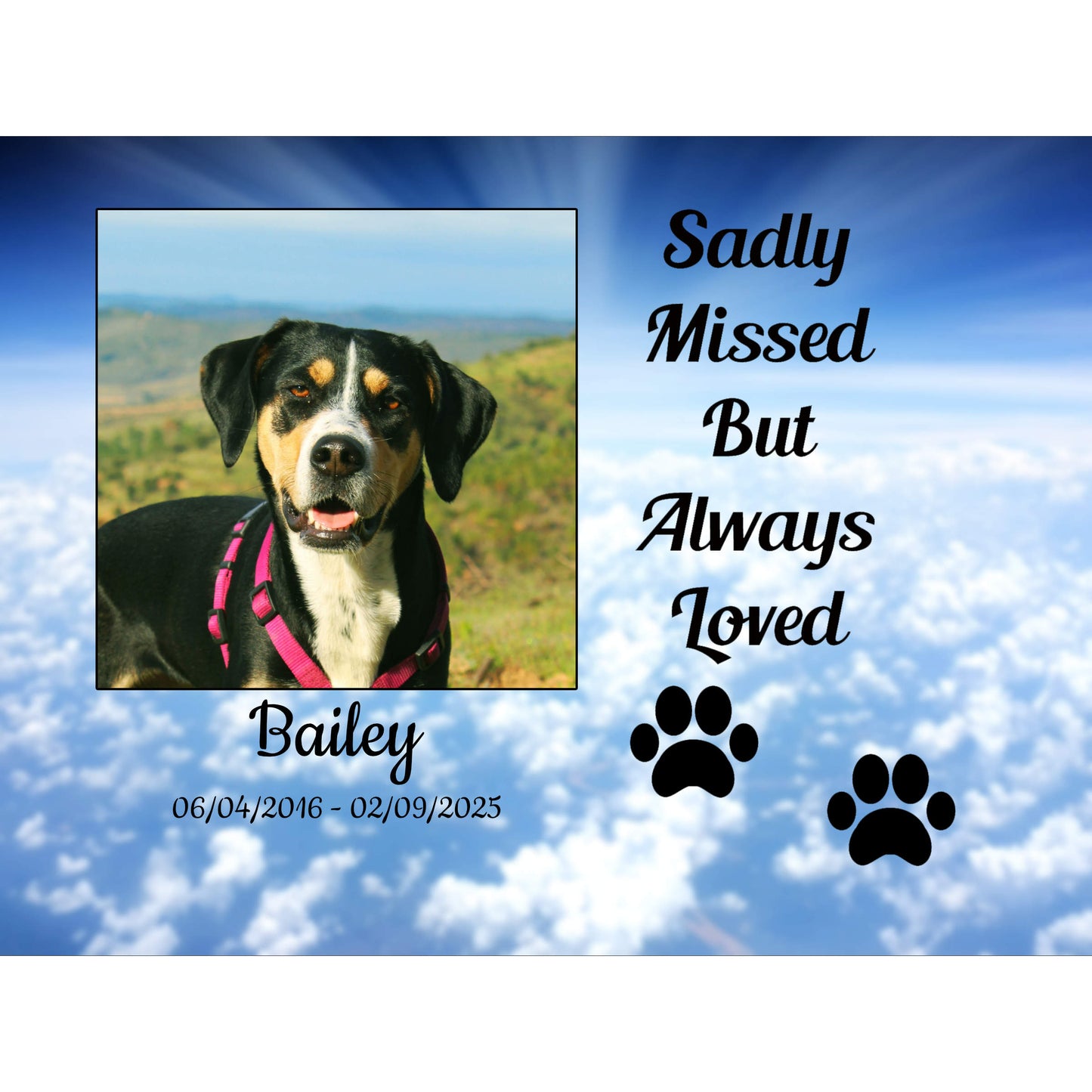 Pet memorial photo frame block for a dog named Bailey with a photo of the dog and text 'Sadly Missed But Always Loved' on a blue sky background.