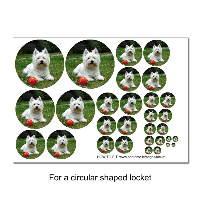small photos for putting into a locket