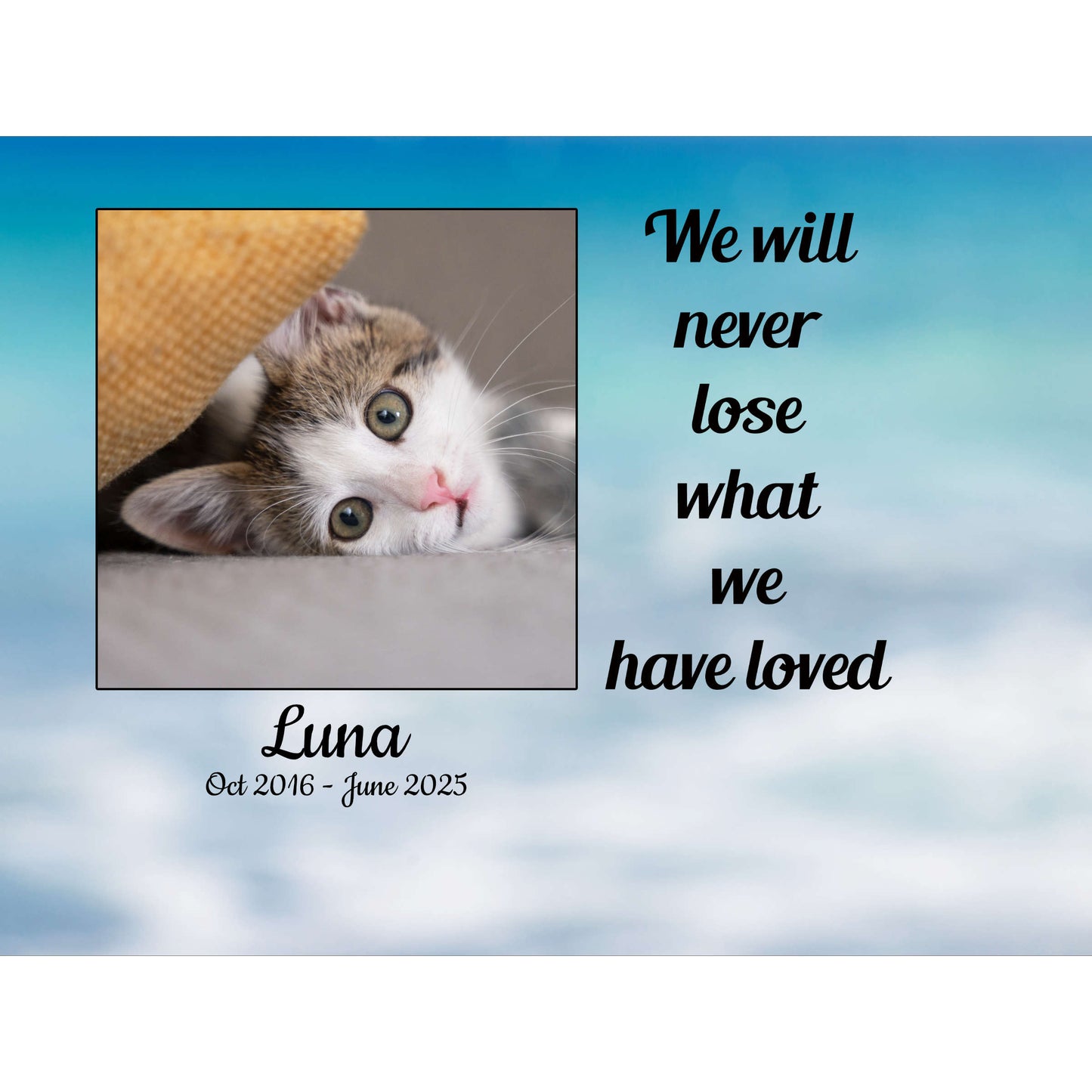 Memorial pet photo block with a photo of a kitten named Luna and text 'We will never lose what we have loved'.