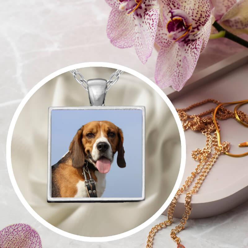 Pet necklace with a photo.