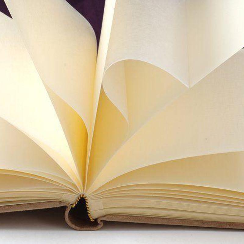 Fairy Tale Wedding Album 60 Pages - Photome