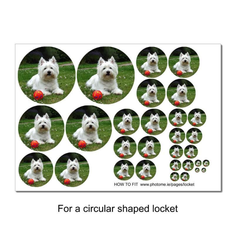 For a circular shaped locket necklace you need  this photo with 15 circular sizes that will fit.